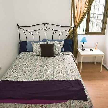 The Oasis One Spacious Apartment In Sevilla Zewnętrze zdjęcie