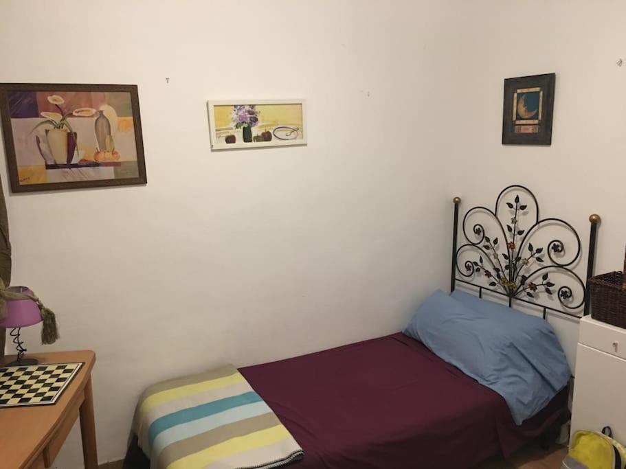 The Oasis One Spacious Apartment In Sevilla Zewnętrze zdjęcie